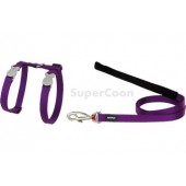 Red Dingo Cat Harness And Lead - Purple